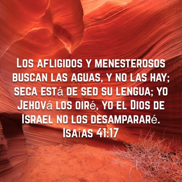Isaias41